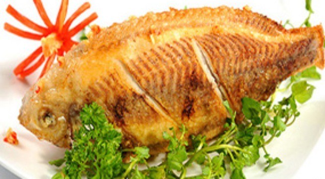 meo-ran-ca-it-dau-khong-bi-dinh-chao-thanh-cong-ngay-ca-voi-chao-cu